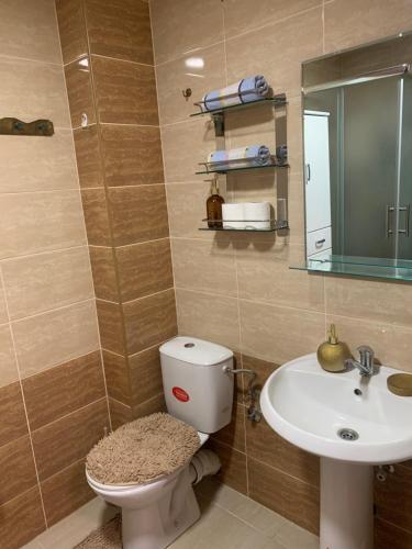 ein Badezimmer mit Toilette und Waschbecken in der Unterkunft City Comfort Apartment in Vranje