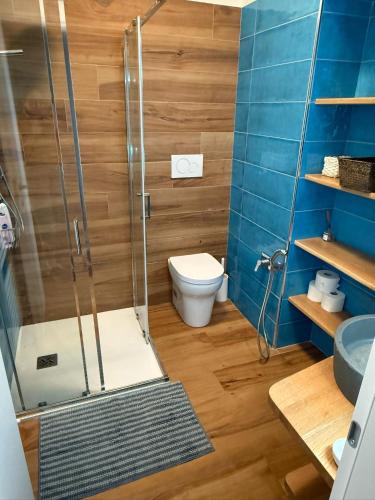 a bathroom with a toilet and a shower with blue walls at Appartamento Betta in Borgo in Gorizia
