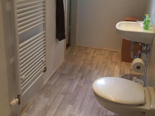 un bagno con un water e un lavandino di Ferienwohnung Feldhofs a Medebach