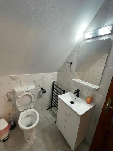 a bathroom with a toilet and a sink and a mirror at Cabana A frame Casa Edy in Călimăneşti