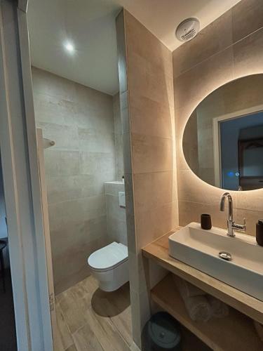 a bathroom with a toilet and a sink and a mirror at Vignes au Balcon in Villers-Marmery