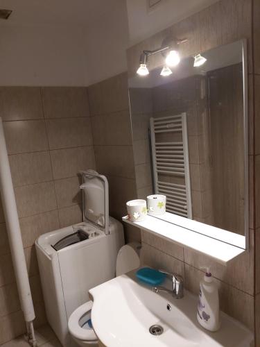 Koupelna v ubytování Daria's cozy studio