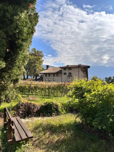 O grădină în afara Maso Sasso - La Locanda di Putipù