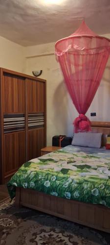 a bedroom with a bed with a pink mosquito net at Lalibela Circle Guest House in Lalibela