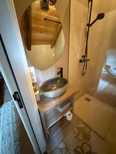 a bathroom with a sink and a mirror at Nanas Scheune in Lage