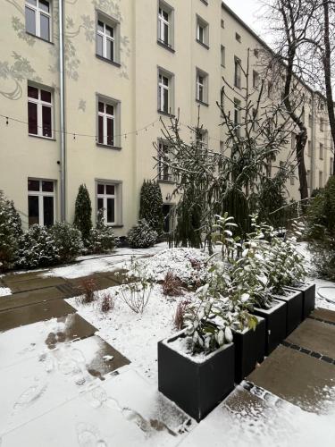 een met sneeuw bedekte tuin voor een gebouw bij Hola Apartamenty Rewolucji 1905r in Łódź