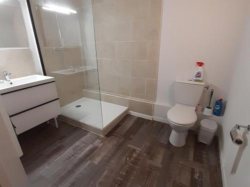 Vannituba majutusasutuses Appartement chaleureux, 2 pièces pour 4 personnes avec accès piscine - FR-1-504-424