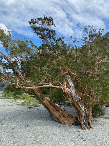 Φυσικό τοπίο κοντά σε αυτό το ξενοδοχείο