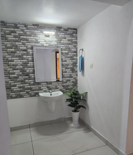a bathroom with a sink and a mirror at Thiruthi Homestay in Vallikunnu