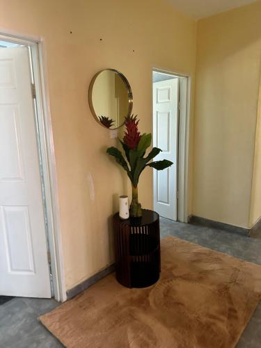 a hallway with a mirror and a vase with a plant at Hatfield - Staylax Manor 3 in Harare