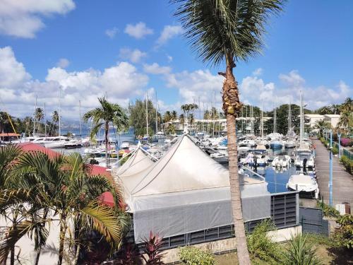 Una vista de un puerto deportivo con una carpa y una palmera. en Studio Marina pointe du bout vue sur le port, en Les Trois-Îlets