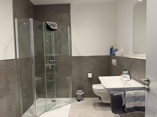 ein Badezimmer mit Dusche, Toilette und Waschbecken in der Unterkunft Klosterhof Aue W 14 in Bad Zwischenahn