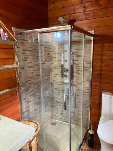 Ένα μπάνιο στο La Irilia Residences & Retreat