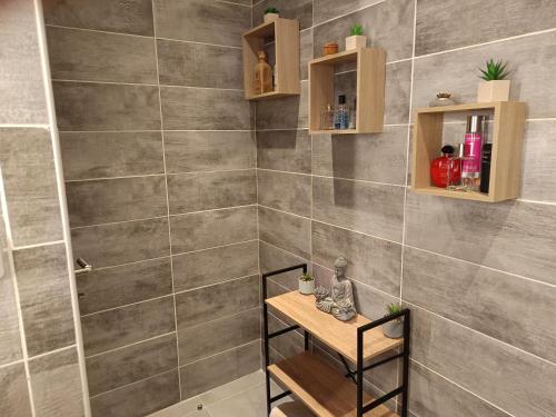 a bathroom with a shower with gray tiles at loue 2 chambres individuellemet chez l hote in Pia