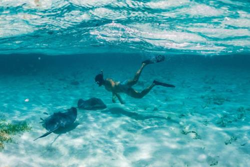 Gæster der bor på Reef Haven Belize
