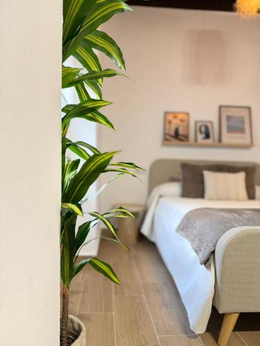 Postel nebo postele na pokoji v ubytování Loft Mamalú Jerez