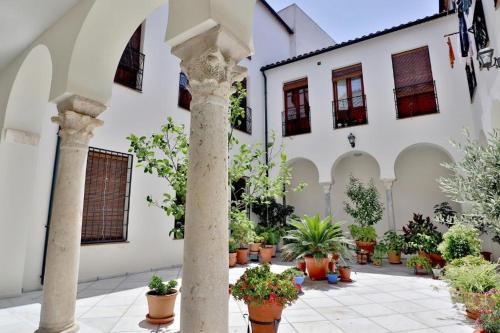 Sunny Holiday Apartment in the historic centre- Private Parking