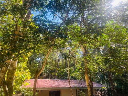 O grădină în afara Peaceful house in nature 5 min drive from beach