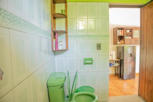 埃斯孔迪多港Casa Helechos的一间位于客房内的带绿色卫生间的浴室