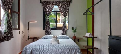 埃斯孔迪多港Casa Helechos的一间卧室，里面有一张床和一扇窗户。