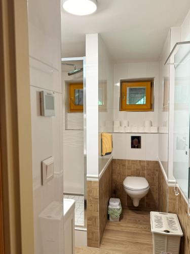 a small bathroom with a toilet and a shower at Chata U Hýka in Ludvíkov