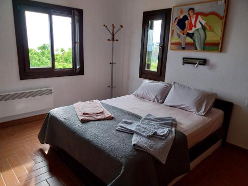 een slaapkamer met een bed met twee handdoeken erop bij Holiday house afetes in Afétai