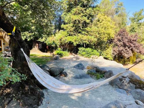 a hammock hanging from a tree in a yard at Sequoia Cabin by the River in Three Rivers