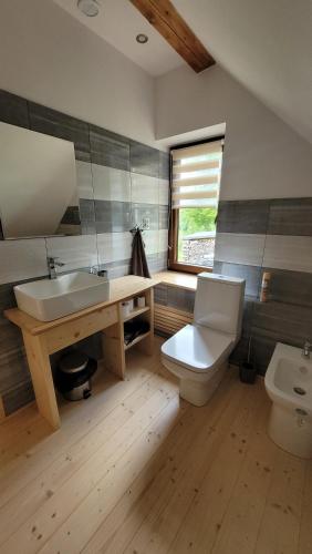 a bathroom with a sink and a toilet at Piernikowa Chata in Zawoja