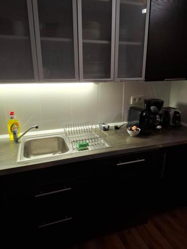 Кухня или мини-кухня в Apartment Maximilian
