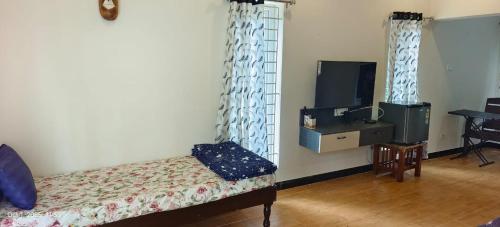 Μια τηλεόραση ή/και κέντρο ψυχαγωγίας στο JSR Homes