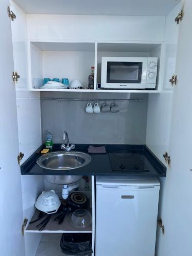 莱特鲁瓦西莱Beautiful Day Studio的带水槽和微波炉的小厨房