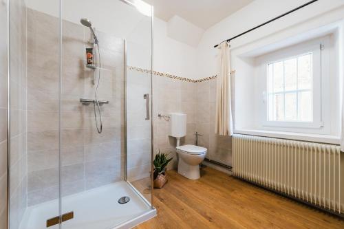 a bathroom with a shower and a toilet at In-giardino in Osigo