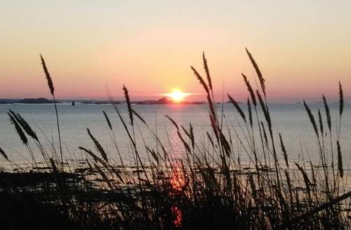 Příroda nedaleko prázdninového domu