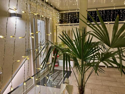 eine Treppe mit Weihnachtslichtern und einer Pflanze in der Unterkunft Palazzo Betteloni in Bardolino
