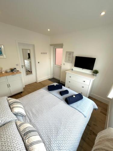 un soggiorno con due letti e una TV di Salcombe Bolthole Room a Salcombe