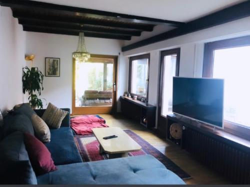un soggiorno con divano e TV a schermo piatto di Maison MidCentury chaleureuse proche centre-ville a Strasburgo