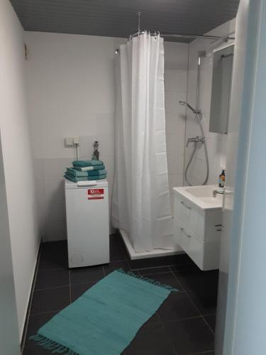 布拉河畔的海登海姆Ferienwohnung Josi , 64 qm 2 Zimmer的带淋浴、水槽和马桶的浴室