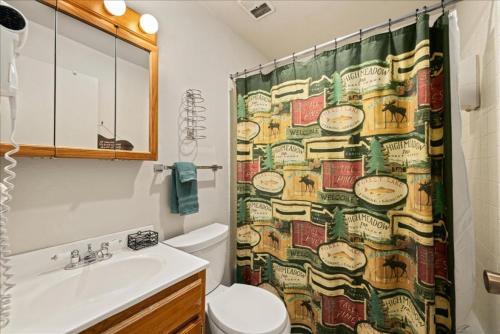 a bathroom with a shower curtain with a toilet and a sink at The Bears Den in Red Lodge