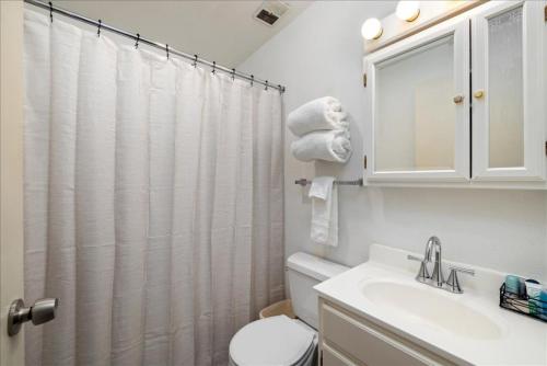 a bathroom with a toilet and a sink and a shower at Winchester Way Red Lodge in Red Lodge
