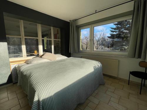 Postel nebo postele na pokoji v ubytování Magnolia Ferienwohnung