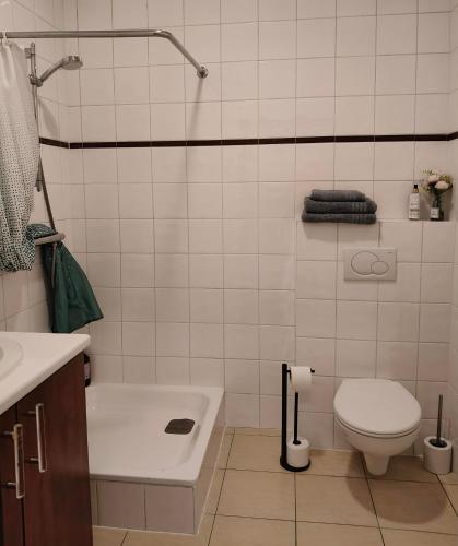 a white bathroom with a toilet and a sink at De Smokkelhoeve in Riemst