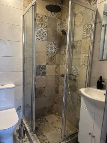 a bathroom with a shower with a toilet and a sink at Letsios Steel1 in Kalabaka