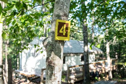 Φωτογραφία από το άλμπουμ του Robin's Nest-Lux Camping Tent in the Gorge σε Rogers