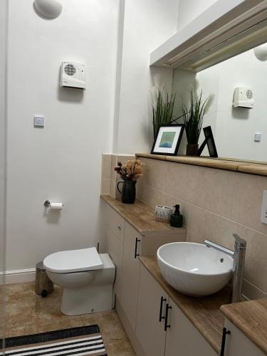 a bathroom with a sink and a toilet and a mirror at The Stable at Woodhouse Farm in Montacute