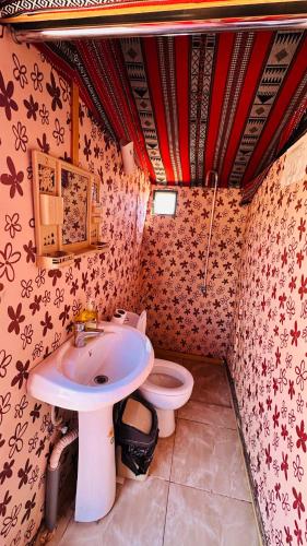 Ένα μπάνιο στο Desert Nights camp