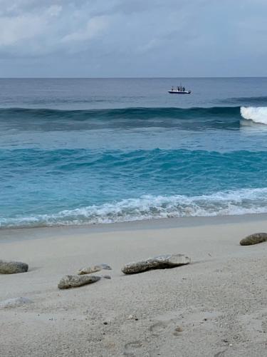 Příroda nedaleko penzionu