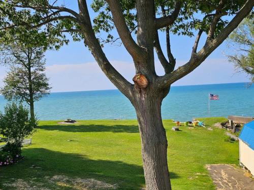 a tree with a bear in the middle of it at SeaSide Lake-Front Cottage in Madison