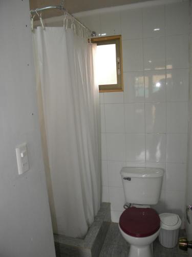 a bathroom with a toilet with a shower curtain at Central 390 Isla Negra in Isla Negra