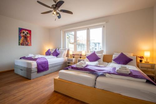 Spacious Apartment near Roche and Tinguely - Special MAGICAL MEERKATS 4 Apartment, Basel, up to 6 guests