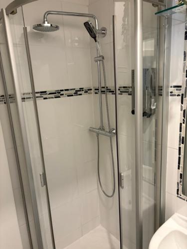 a shower with a glass door in a bathroom at Apartment Gute Laune-Good mood in Vienna